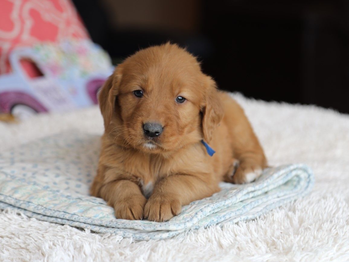  Ike - Click to meet