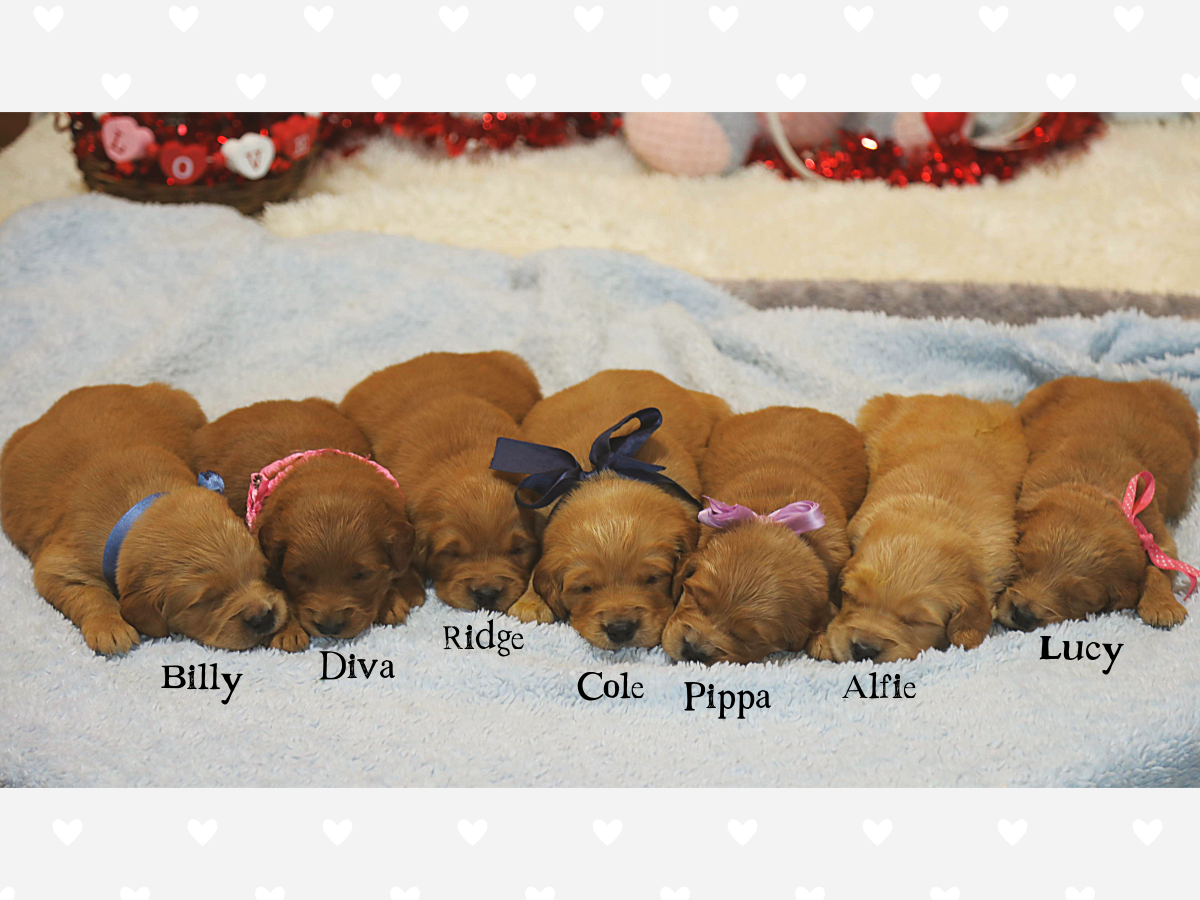 June's Babies