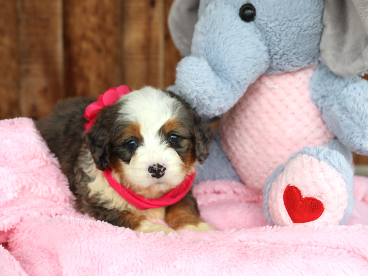 Gwen • Click to meet