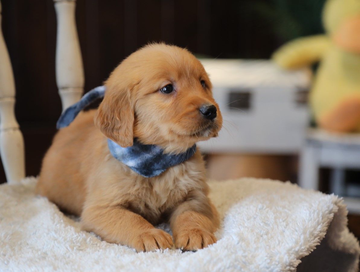 Sammy (4).JPG