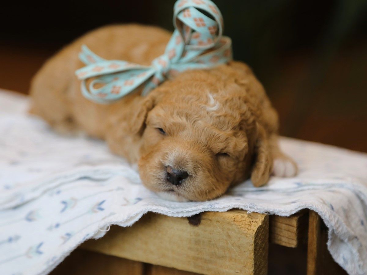 Fisher • click to meet