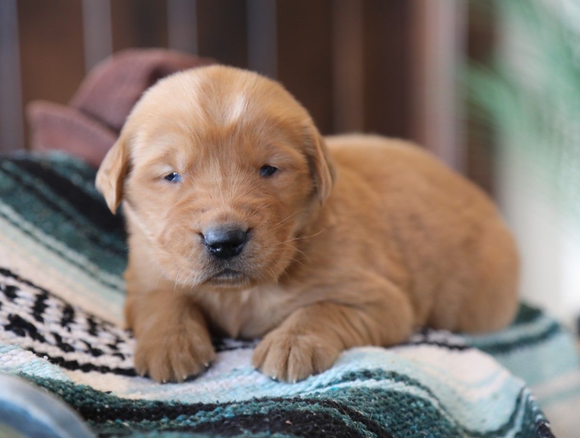 Clinton - Click to meet