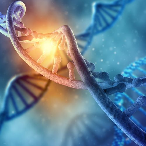 1DNA.jpg