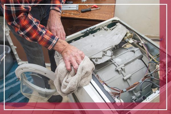 A person in a plaid shirt is cleaning the inside of a washing machine with a cloth Old Westbury 2.jpg