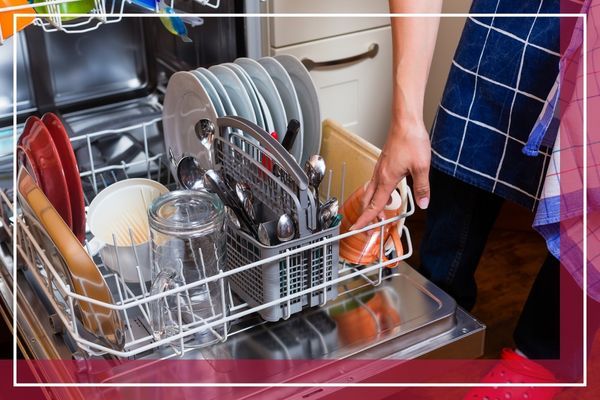 dishwasher3.jpg
