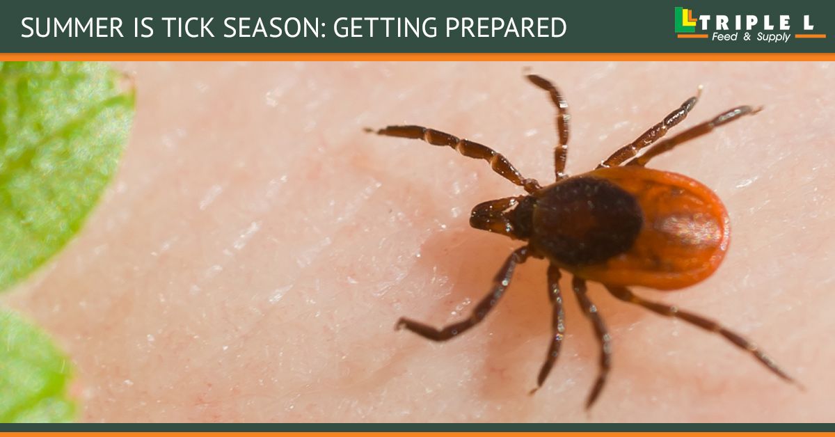 BB Summer Is Tick Season_ Getting Prepared.jpg