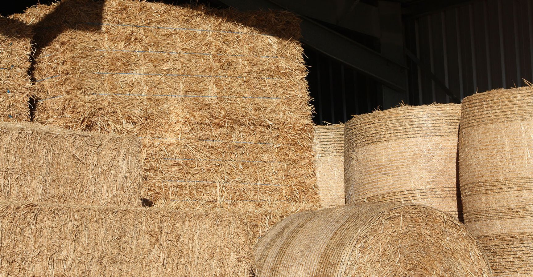 Close up of hay