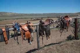 saddles.jpg