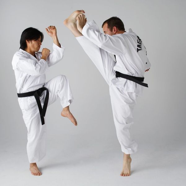 1 Why Take Taekwondo & Hapkido Classes at Alonzo Martial Arts.jpg