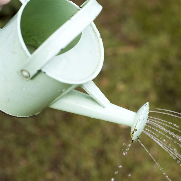 Watering can. Watering can.