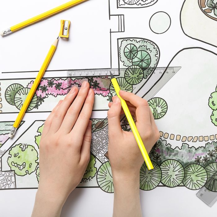 hands drawing a landscape design