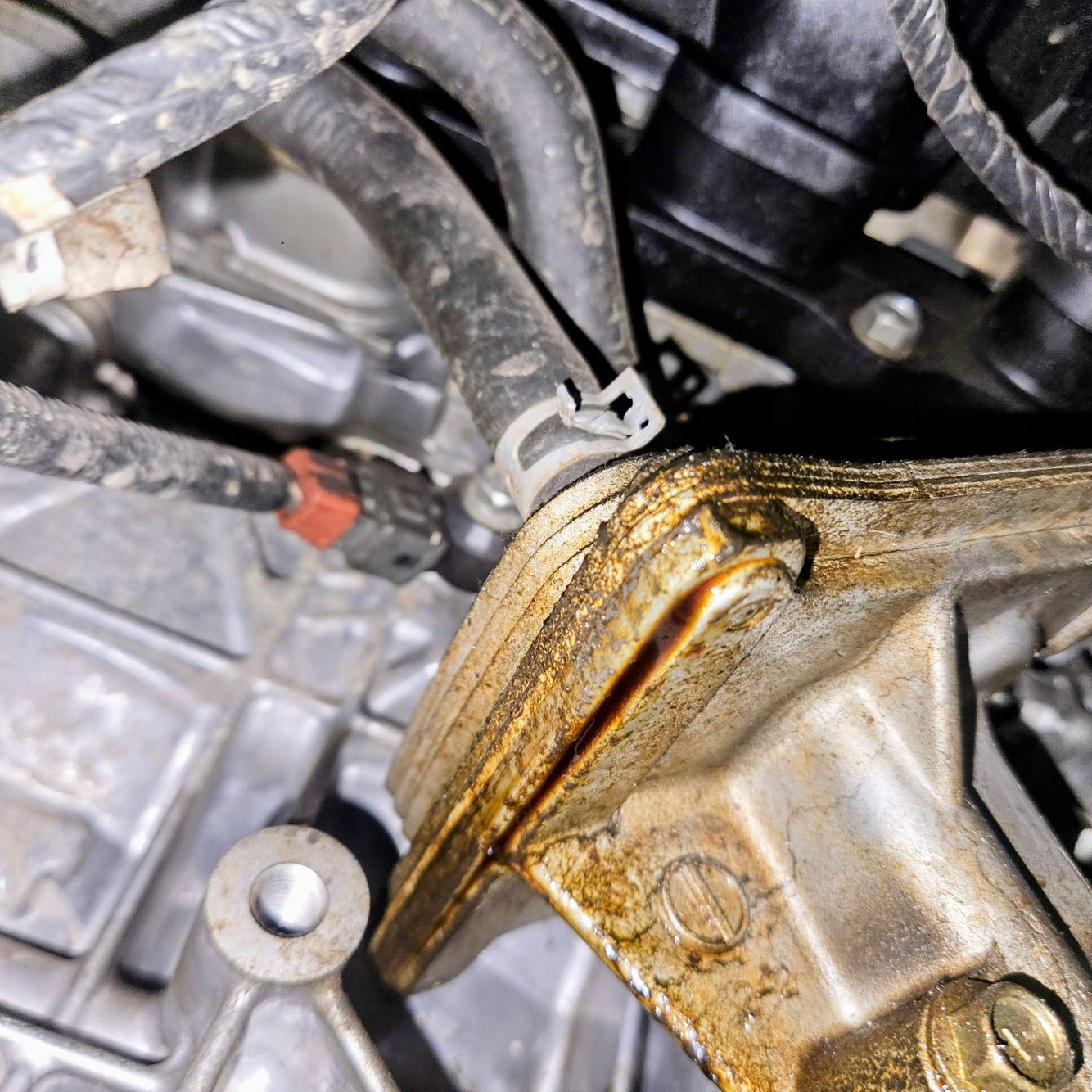 oil-leak-repairs-mpbile-mechanic-tacoma-wa.jpg