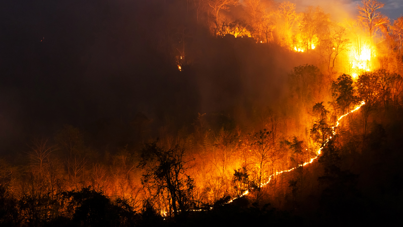 wildfire up mountain 