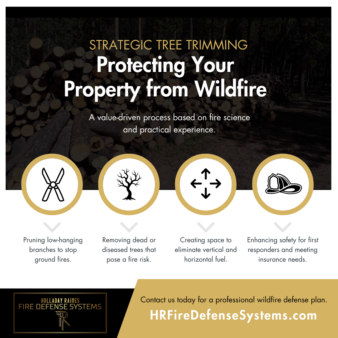 M333412 - Infographic - Strategic Tree Trimming (1).png