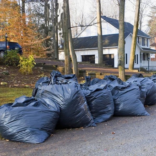 trash bags full of leaves on edge of property