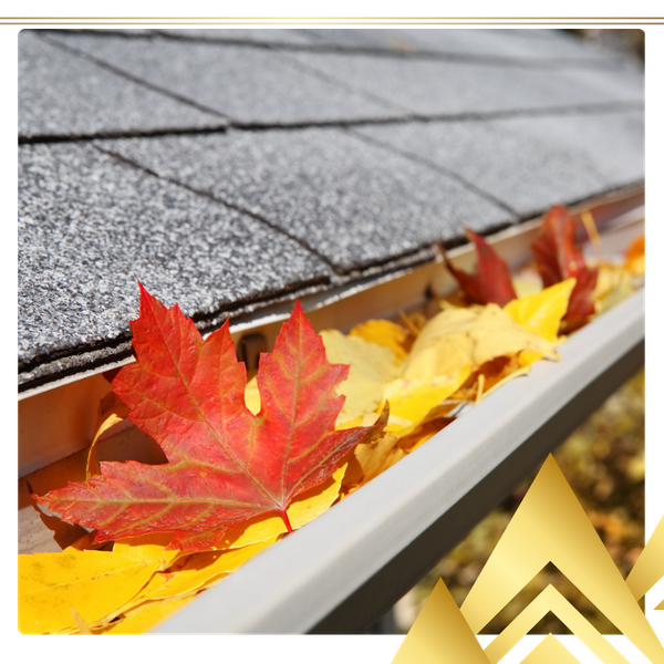 fall leaves in a gutter