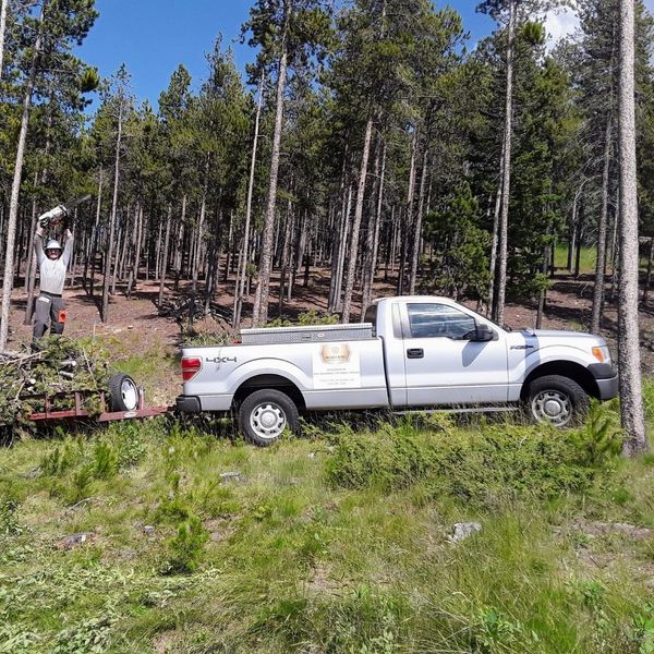 wildfire mitigation services wildfire mitigation services