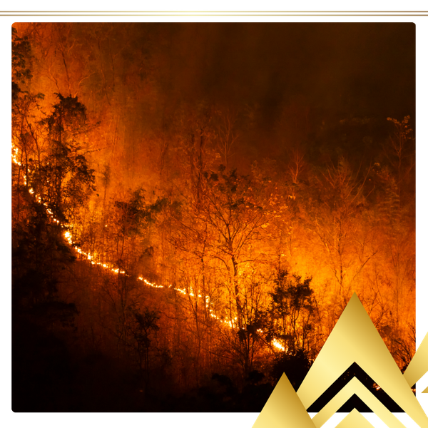 wildfire wildfire