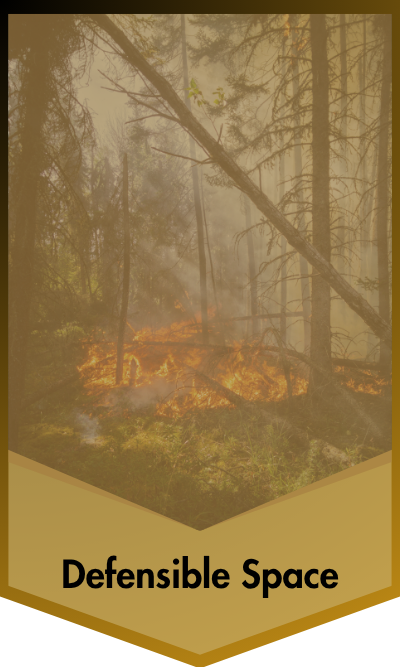 Defensible Space Defensible Space
