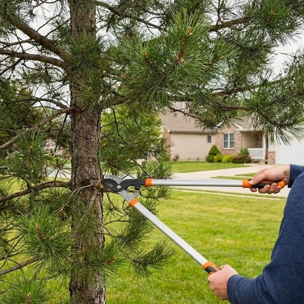 Colorado Springs Fire Mitigation3.jpg