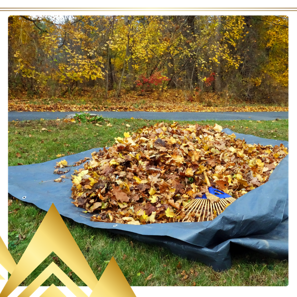 fall leaves on a tarp ready to be disposed of