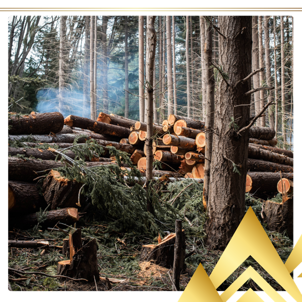 trees cut down on property
