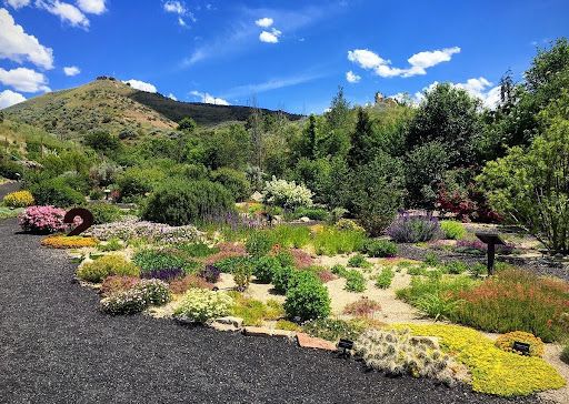 native landscaping plants 