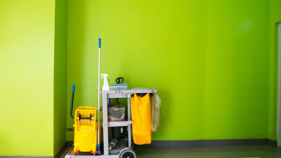 Cleaning supplies against a lime green wall