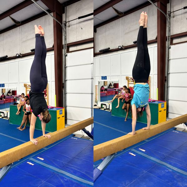 Adults on beam.jpg