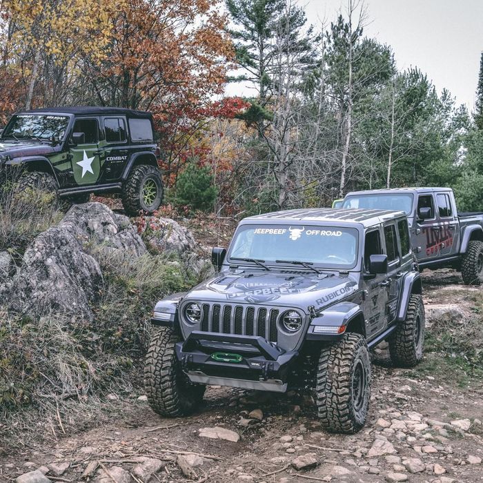 group of jeeps off road