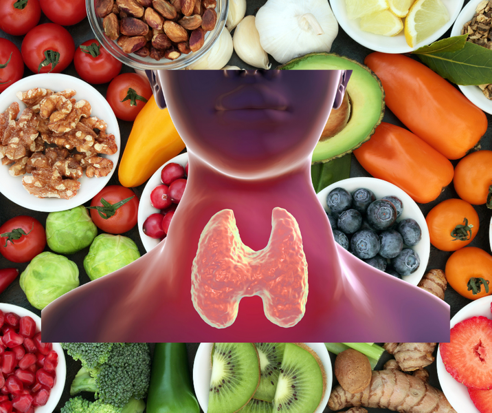 Thryoid belly fat connection.png