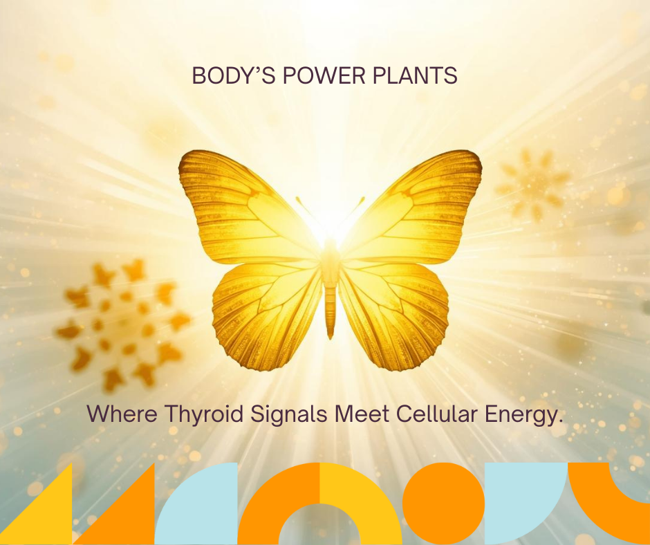 Power Plants Blog pic.png