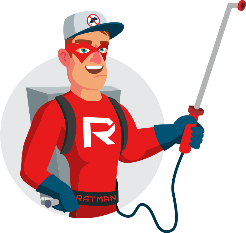 Buncha Bugs Ratman Illustration
