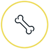 orthopedic icon