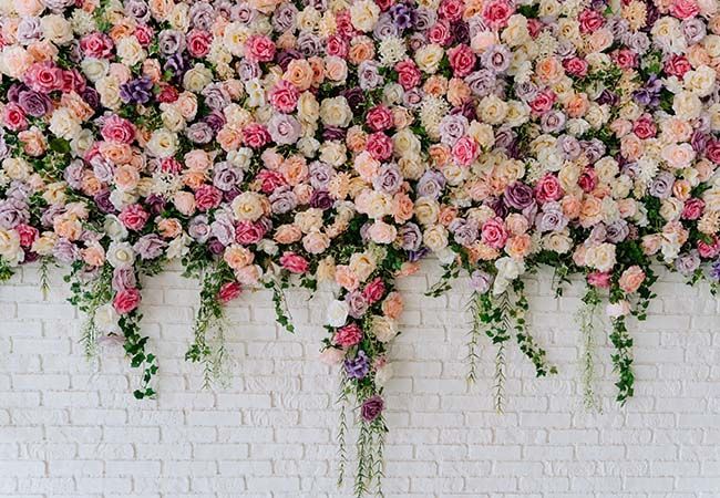 a wall of hanging roses