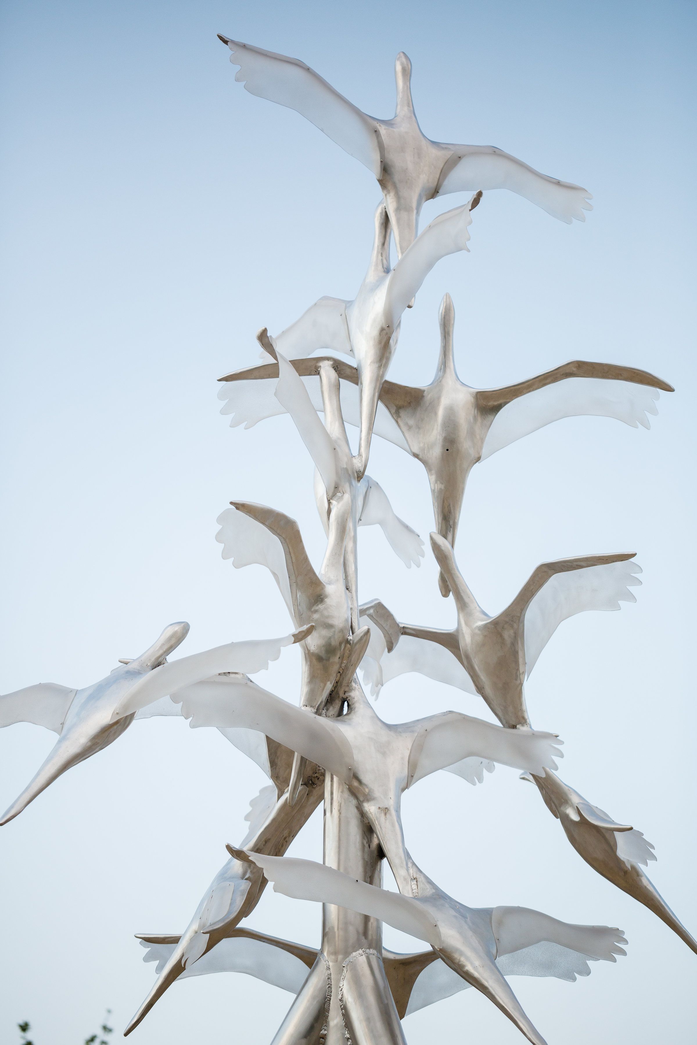 Ascentiate — eighty-three steel cranes rising against the Colorado sky