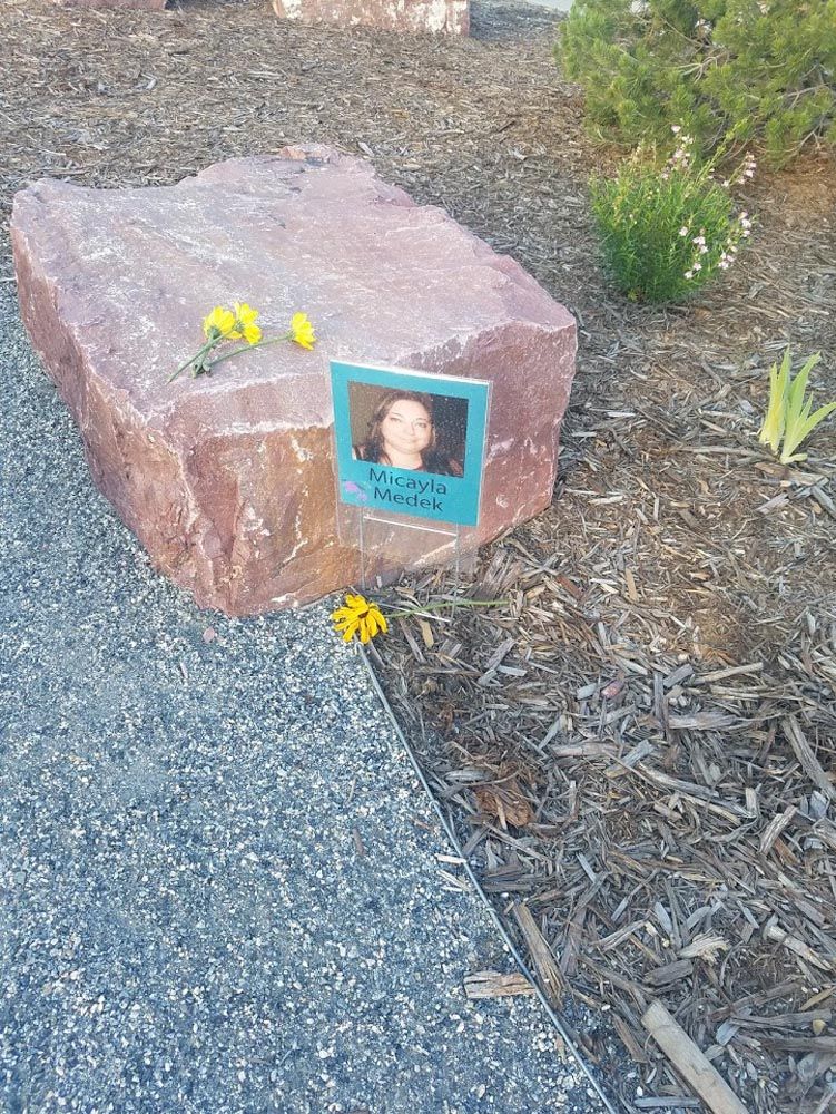Micayla Medek