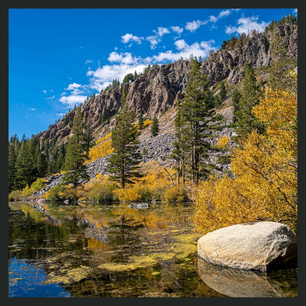 The Trauma of the Holidays_ Managing Triggers and Finding Peace During Thanksgiving1.jpg