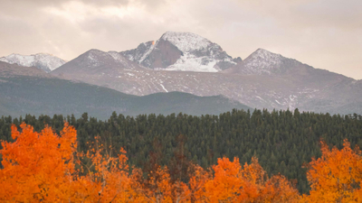 The Trauma of the Holidays_ Managing Triggers and Finding Peace During Thanksgiving.jpg