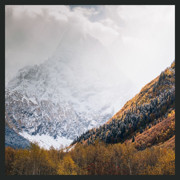 The Trauma of the Holidays_ Managing Triggers and Finding Peace During Thanksgiving2.jpg