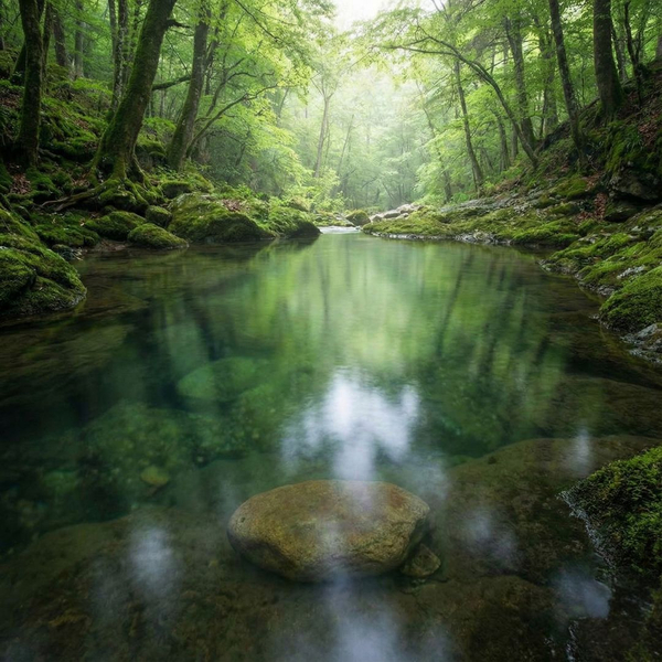 serene view of a creek