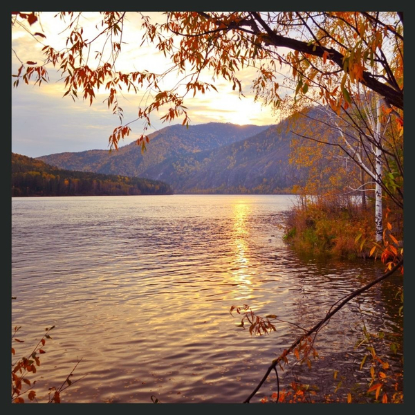 The Trauma of the Holidays_ Managing Triggers and Finding Peace During Thanksgiving3.jpg