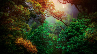 Addressing Trust Issues in Therapy Steps Toward Building Healthy Relationships.jpg