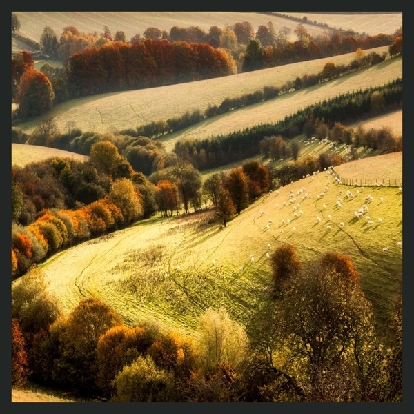 Rebuilding Self-Worth1.jpg