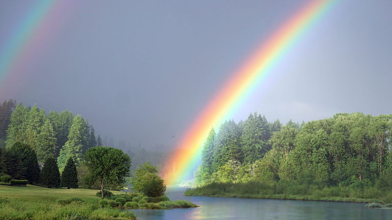 M54595 - Core Psychotherapy Center - Featured Image.jpg