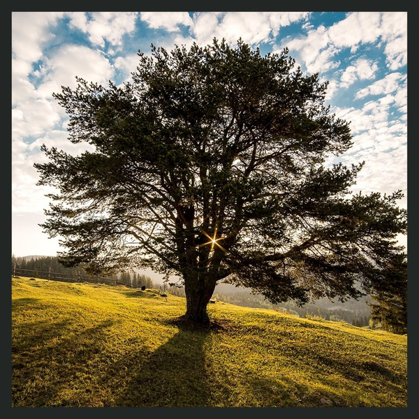 Rebuilding Self-Worth2.jpg