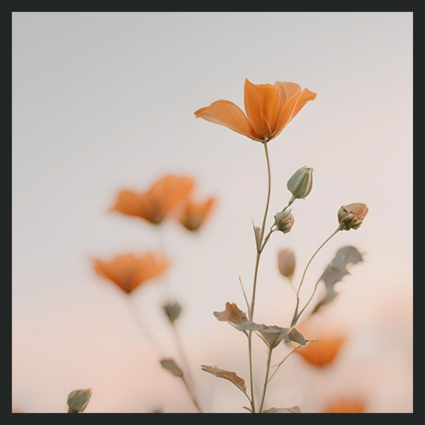 Trauma-Informed Care_ What It Means and Why It Matters in Therapy (2).jpg