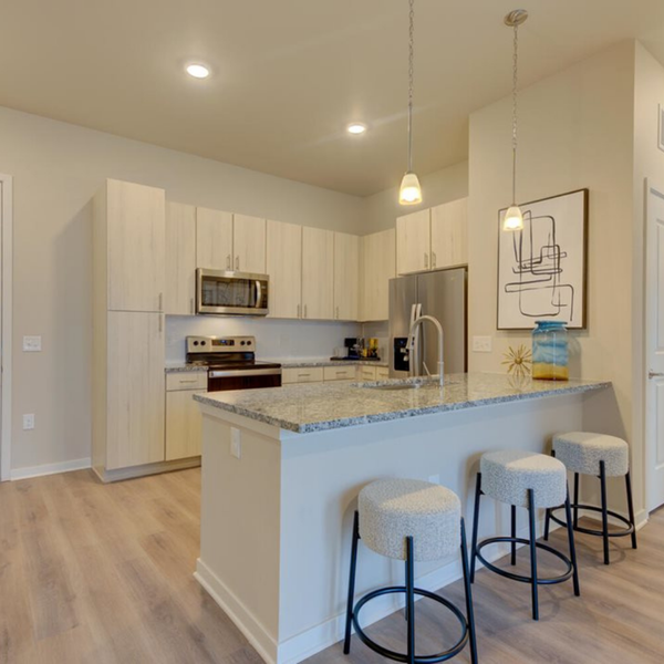 2 High-End Apartments in Denver.png