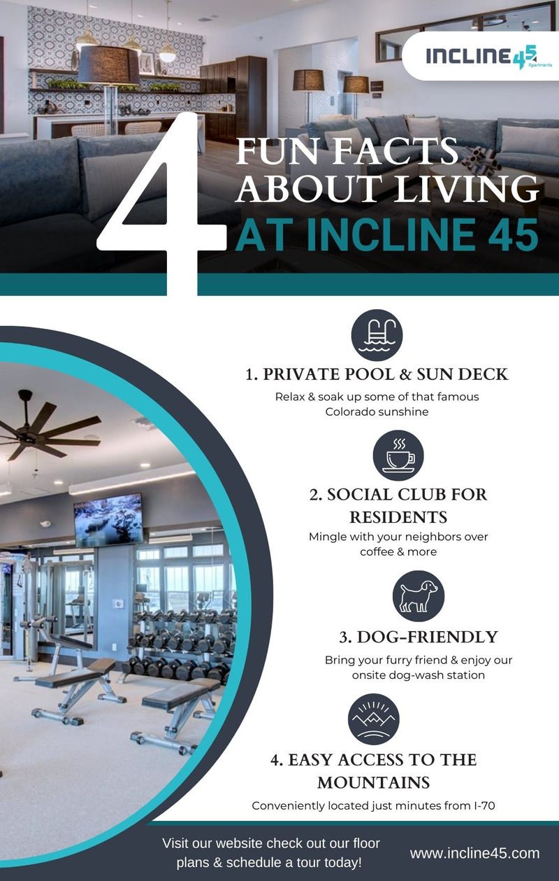 M33662 - Incline 45 - 4 Fun Facts About Living at Incline 45 - Infographic.jpg