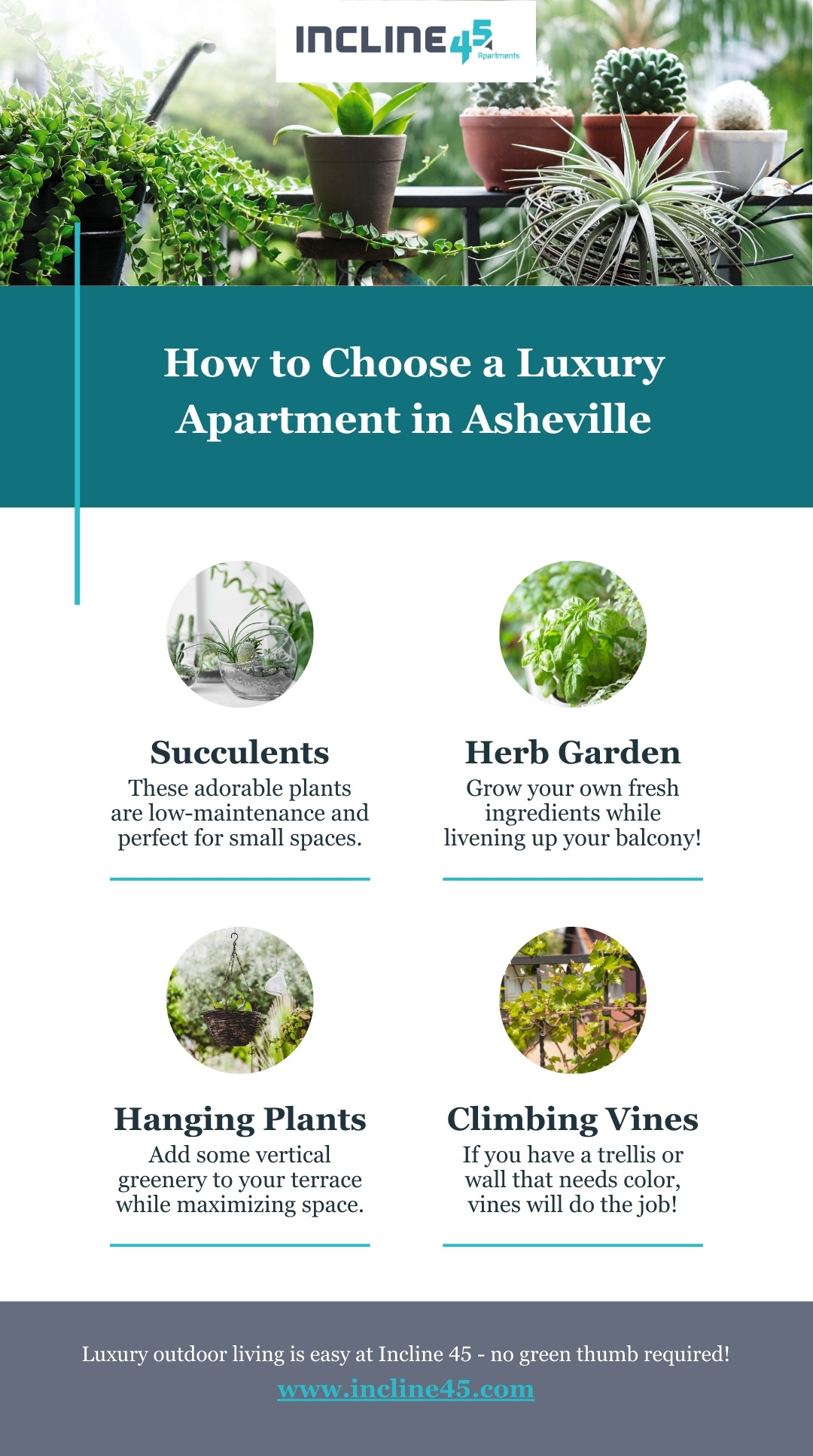 infographic - 4 Plants That Are Perfect for Your Apartment's Outdoor Space.jpg